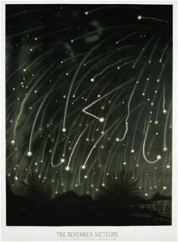 The November meteors from the Trouvelot astronomical drawings (1881-1882)