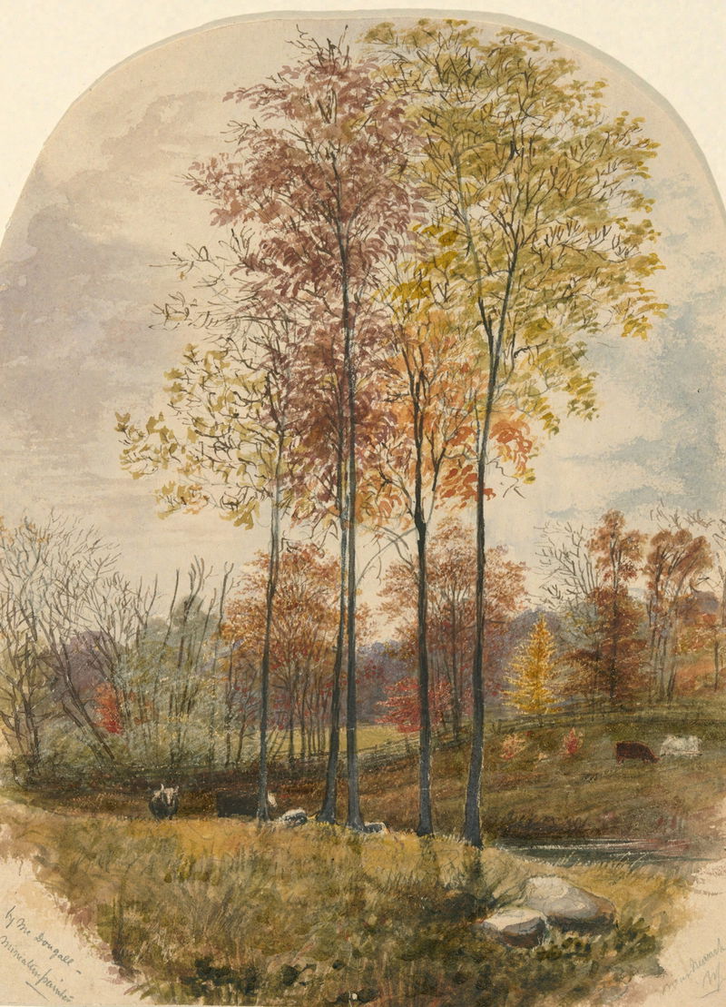 Fall Landscape