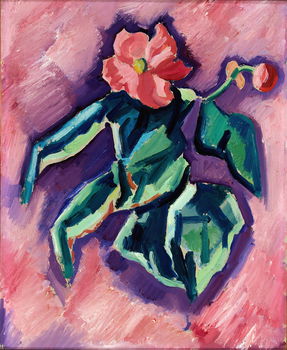 Pink Begonias (1928-1929)