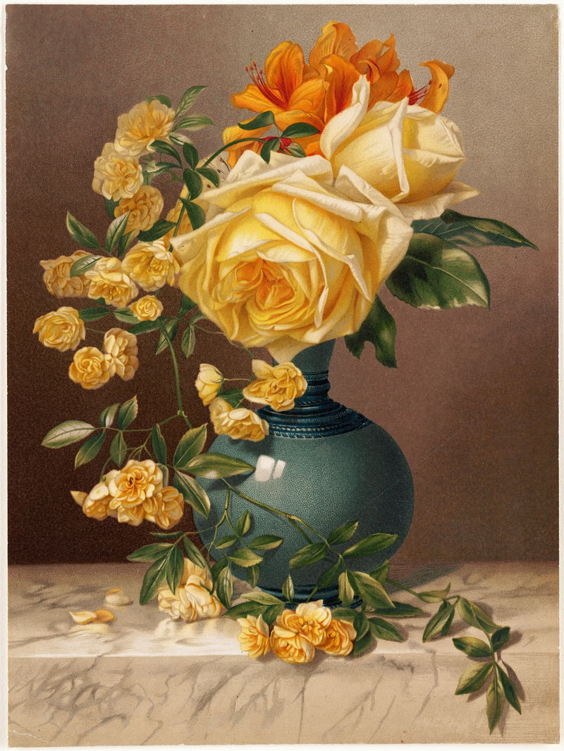 Marchal Niel Roses (1883)